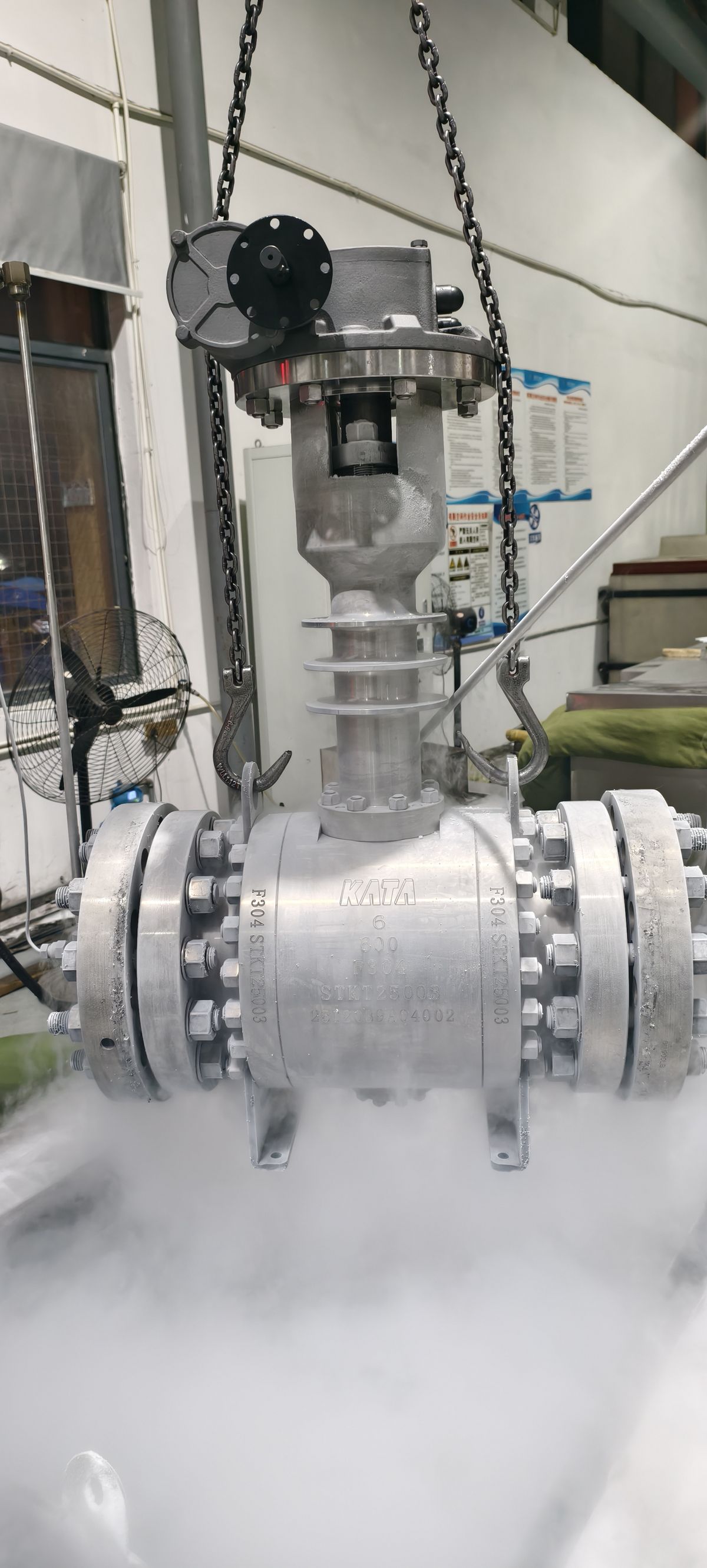 Cryogenic valve — detail