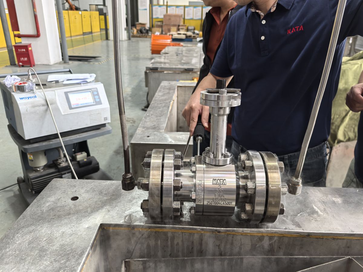 Cryogenic valve testing at −196 °C