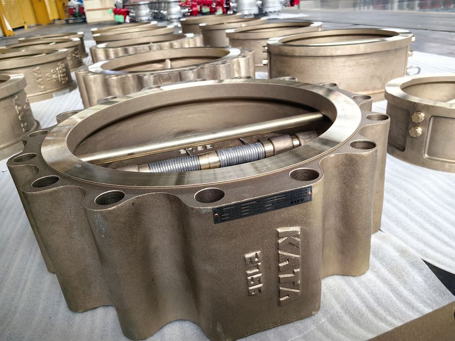 Dual-plate check valves
